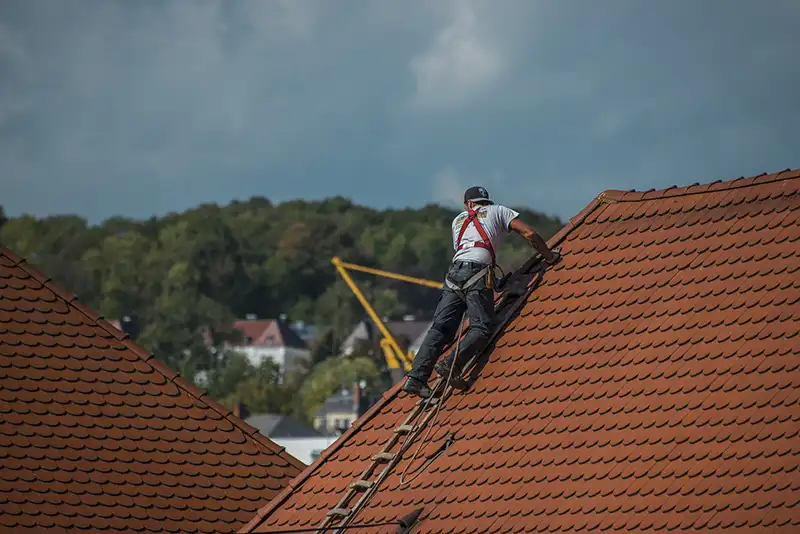 Professional Roofing Services